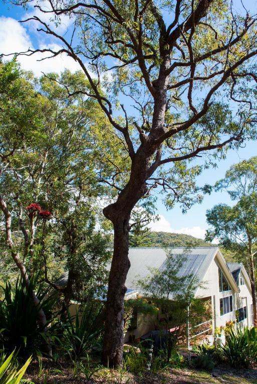 Nelson Bay Bed & Breakfast Exterior photo