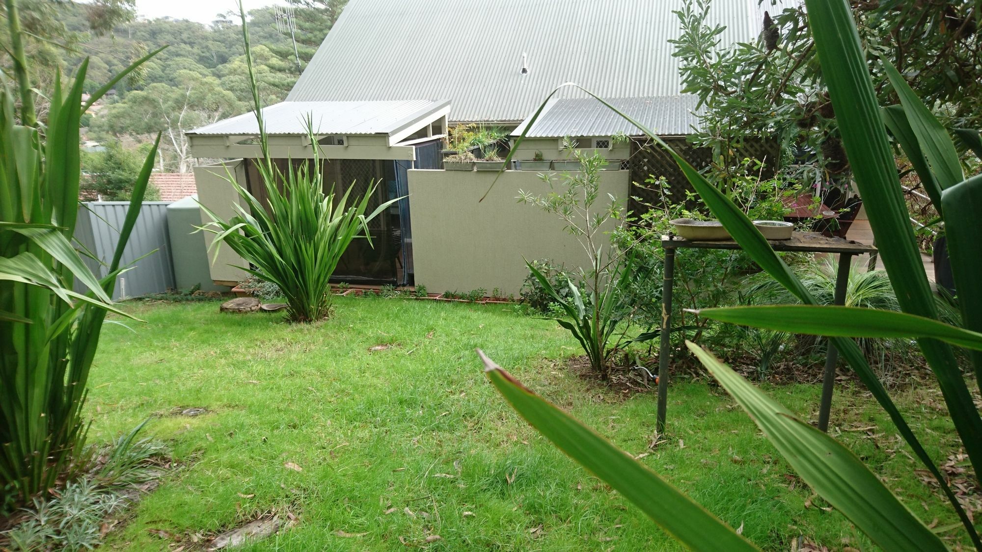 Nelson Bay Bed & Breakfast Exterior photo